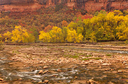 The Virgin River at Big Bend - Zion National Park