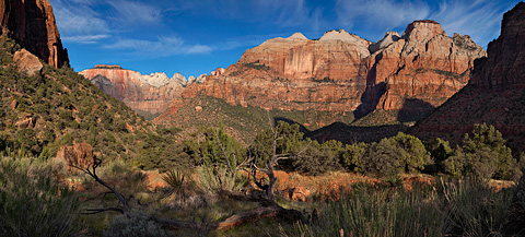 The Towers of the Virgin, The Streaked Wall, The Bee Hives, and The Sentinel. Zion National Park - April 7, 2007.