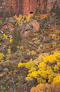 Fall color below the Zion-Mount Carmel Tunnel - Zion National Park