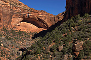 The Great Arch - Zion National Park