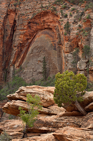A blind arch opposite the Canyon Overlook trail. Zion National Park - April 6, 2007.