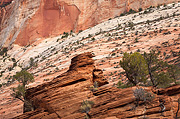 The East Temple and a small hoodoo - Zion National Park