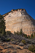 Early morning light on Checkerboard Mesa - Zion National Park