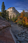 Checkerboard Mesa and Clear Creek - Zion National Park