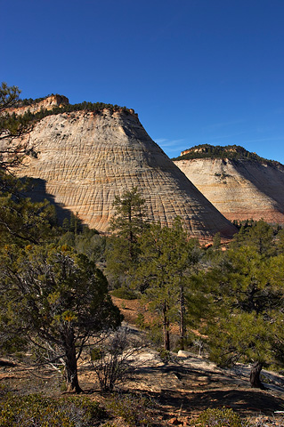 Checkerboard Mesa with Crazy Quilt Mountain. Zion National Park - March 12, 2005.