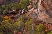 Waterfalls at the Emerald Pools - Zion National Park