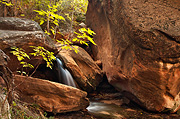 A Waterfall at The Grotto - Zion National Park