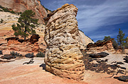 Submarine rock and other hoodoos - Zion National Park