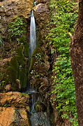 A close-up of Menu Falls - Zion National Park
