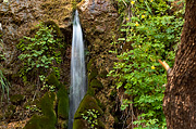 Menu Falls - Zion National Park