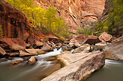 Slabs of sandstone carved by water - Zion National Park