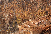 Pictographs - Zion National Park