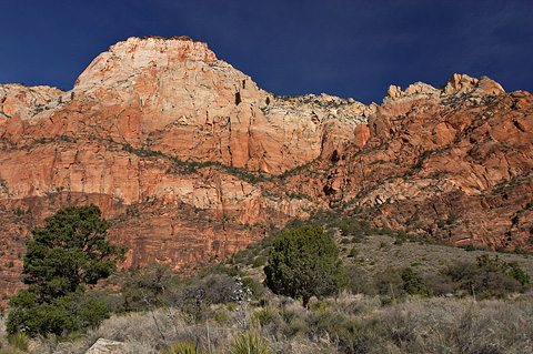 The Sentinel, from the Sand Bench Trail. Zion National Park - March 25, 2006.