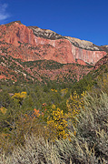 Fall color and Horse Ranch Mountain - Zion National Park