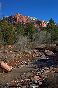 Horse Ranch Mountain and Taylor Creek - Zion National Park