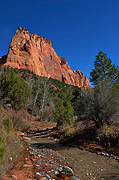 Tucupit Point and Taylor Creek - Zion National Park