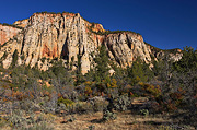 White cliffs near Checkerboard Mesa - Zion National Park